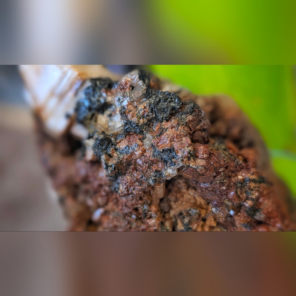 Rare Andradite Garnet & Epidote Cluster (Nelson,B.C. Mine) - Picture 5 of 14